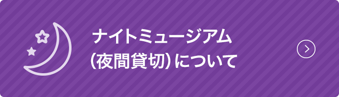 �i�C�g�~���[�W�A��(��ԑݐ�)�ɂ��āiSP�j